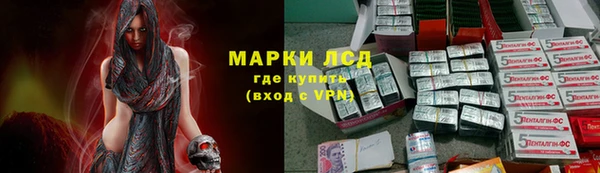 стафф Аркадак