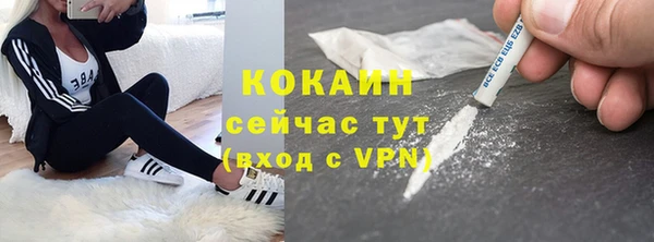стафф Аркадак