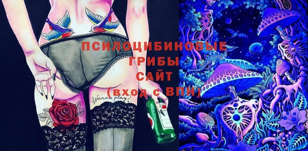 стафф Аркадак